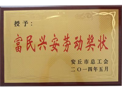 点击查看详细信息<br>标题：富民兴安劳动奖状 阅读次数：11714